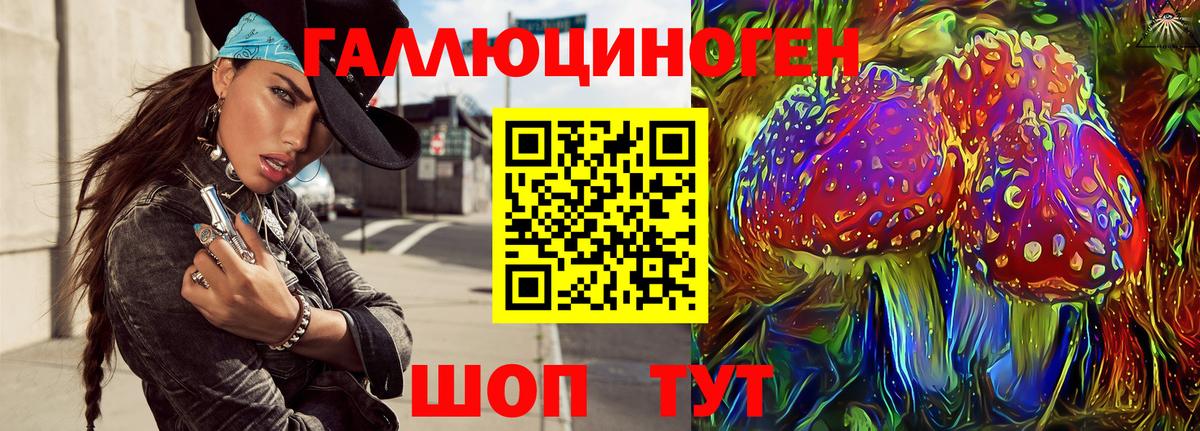 Галлюциногенные грибы Psilocybe  Вход с VPN  купить наркоту  Каменск-Шахтинский 